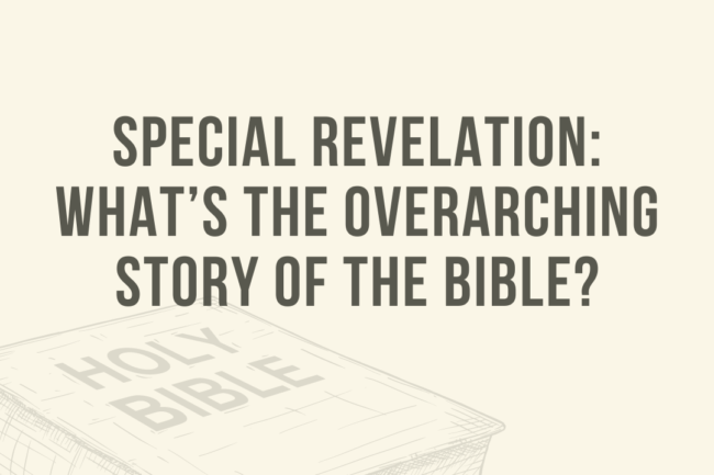 Special Revelation: What’s the overarching story of the Bible ...